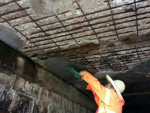 29585717.jpg